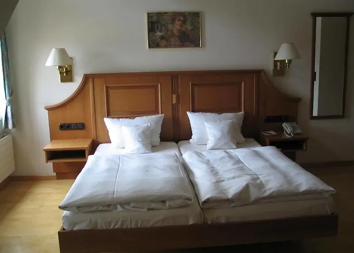 酒店 Roemischer Kaiser 特里尔